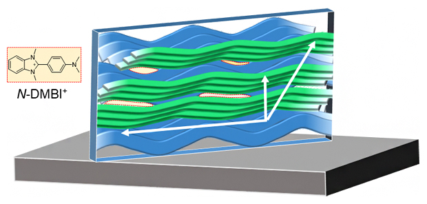 新しいn型高分子半導体 pNB-Tzの分子配向の図