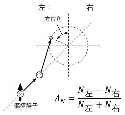 左右非対称度（AN）の定義の図