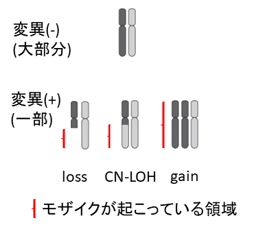 体細胞モザイクの種類の図