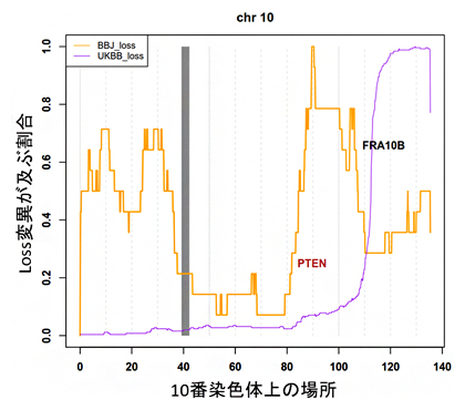 がん関連遺伝子における人種特異的lossの図