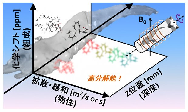 生物個体中成分の組成・物性・位置を非破壊計測   理化学研究所