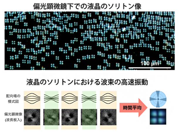 液晶のソリトンの観察と模式図の画像