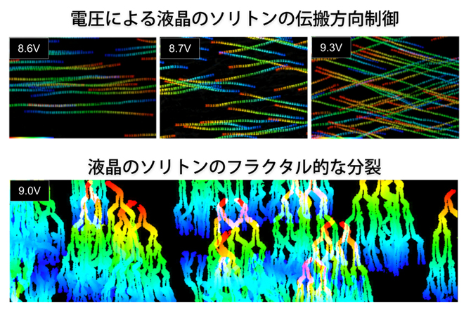 液晶のソリトンの伝搬軌跡の図