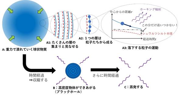 物質の量子力学の効果を取り入れたブラックホールの形成と蒸発の図