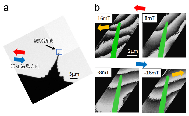 集束イオンビーム加工された雲母の針状試料画像(a)と外部磁場下の位相再生像(b)の図