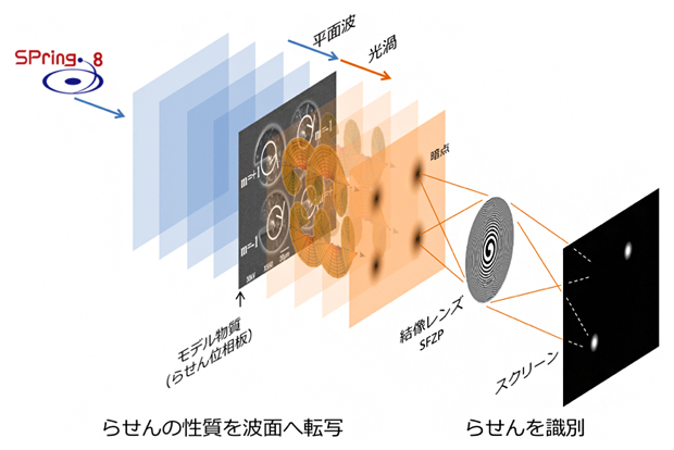 物体内部のらせん構造の向きを識別するX線顕微鏡