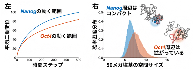 マウスES細胞のHi-Cデータ解析の図