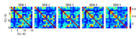 キノコ体におけるさまざまな匂い表現の関係性は個体間で保たれているの図