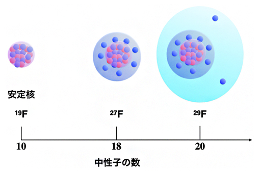 フッ素同位体の原子核半径のイメージの図