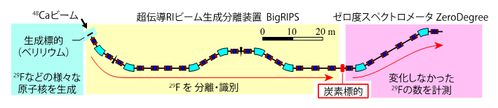 実験装置の概略図の画像