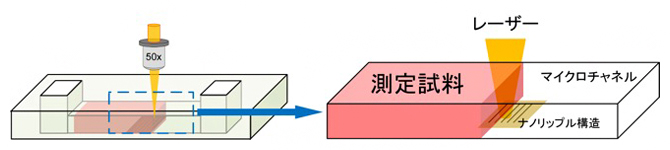 LI-SERS実施形態の模式図の画像
