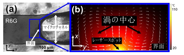 LI-SERSメカニズムのシミュレーションによる解析の図