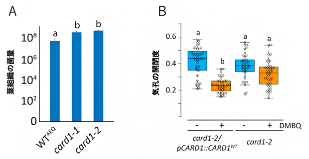 card1変異体のトマト斑用細菌に対する耐性の図