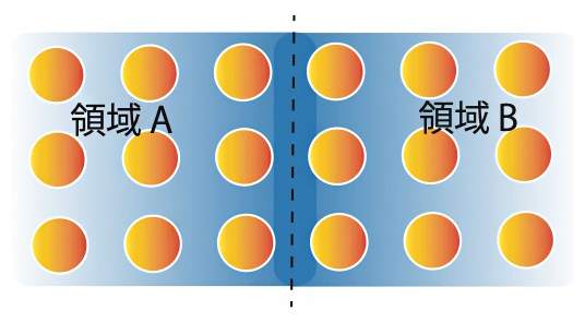 量子もつれにおける境界則のイメージ図の画像