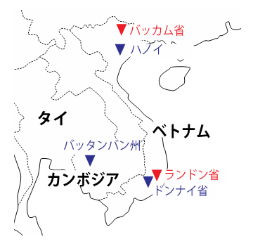 キャッサバの開花調査の圃場の図