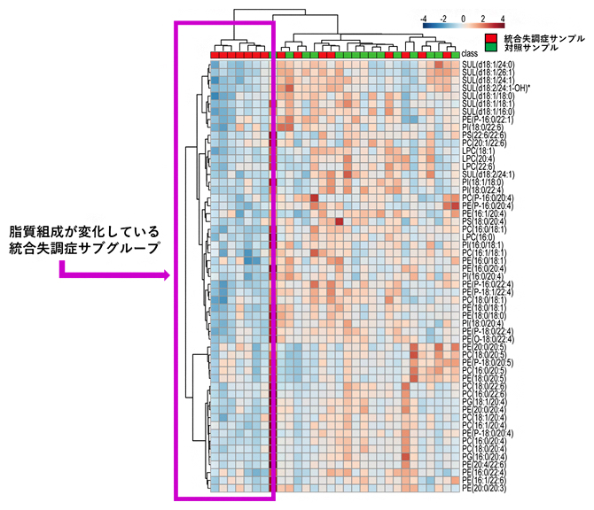 脂質含量パターンに基づくサンプルの分類の図