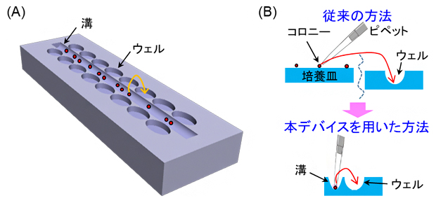 本研究のコンセプトの図