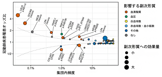 日本人に特異的な強い効果を持つ低頻度変異の図