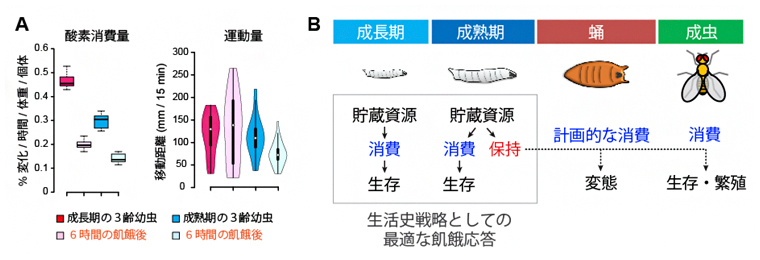 消費エネルギーの節約の図