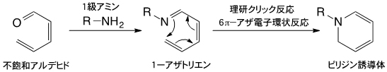 理研クリック反応の図