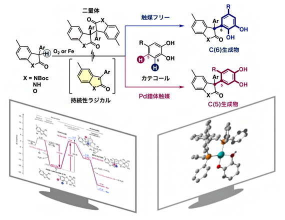 位置多様性・脱水素型クロスカップリング反応の図