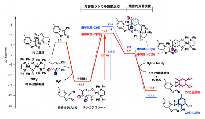 密度汎関数計算による反応機構解析の図