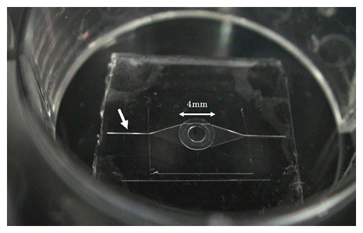 MEMS技術により作製したマイクロ流体チップの図