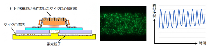 ハートオンチップ型マイクロデバイスの図