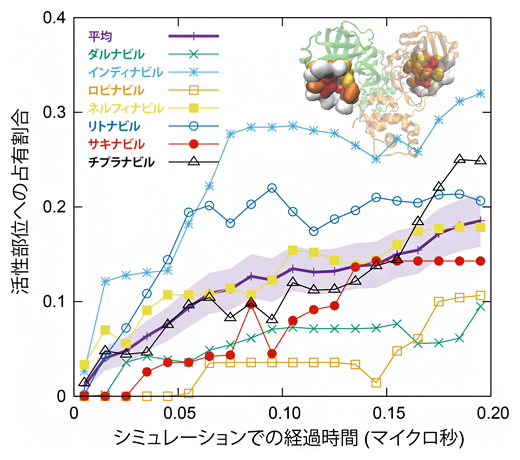 薬分子の活性部位への結合過程の図