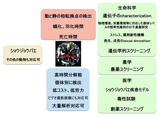 DIAMonDSの利点と利用の図