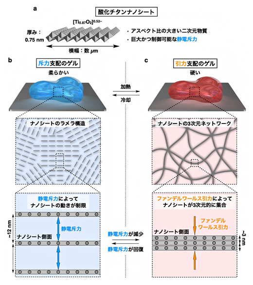 無機ナノシートとハイドロゲルの温度に対する応答性の図