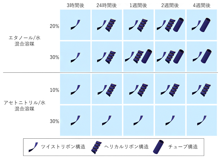 各混合溶媒中でのGSL12集合体形状の経時的評価の図