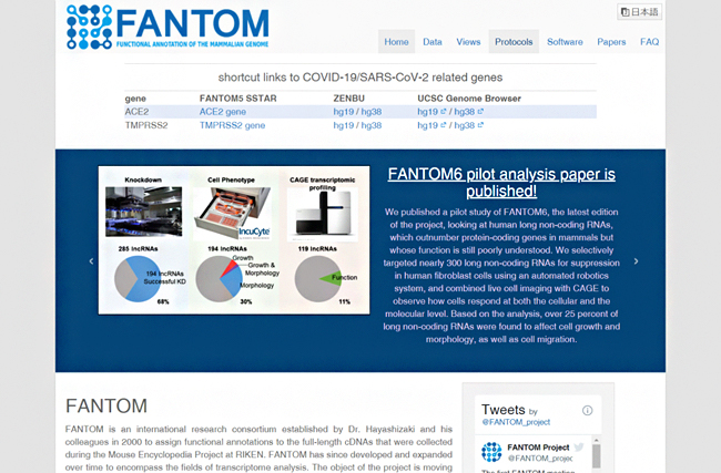 FANTOMのウェブサイトの図