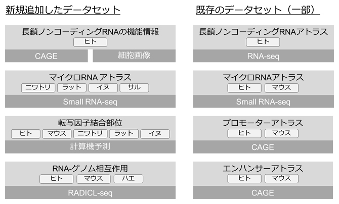 今回更新したFANTOMのデータセットのまとめの図