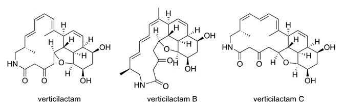 ヴァーティシラクタムおよびその新規類縁体ヴァーティシラクタムB、Cの構造の図