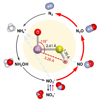 Moから3.26Åの距離にあるプロトン（H＋）によりN-N結合の選択性が制御されるの図