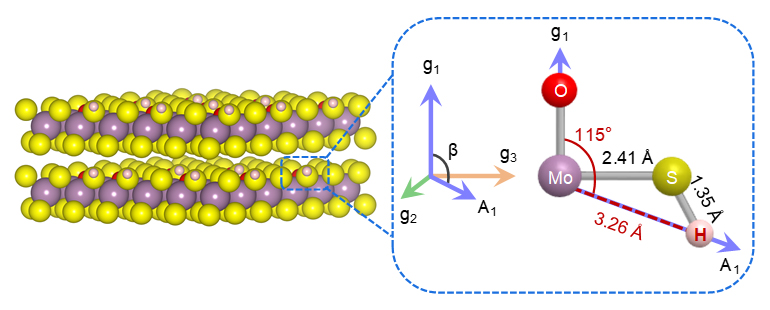 パルス電子スピン共鳴分光法により特定したプロトン結合サイトの図
