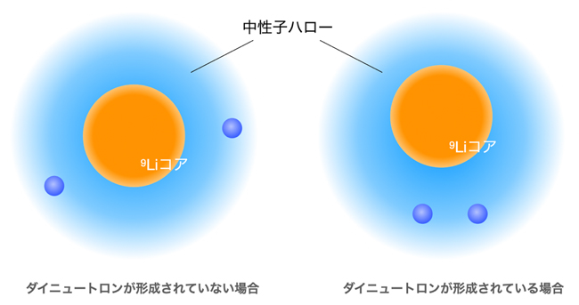 11Li核のハロー構造の図