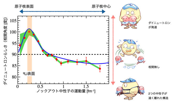 ダイニュートロンの表面局在を示す実験結果とダイニュートロンの概念図の画像