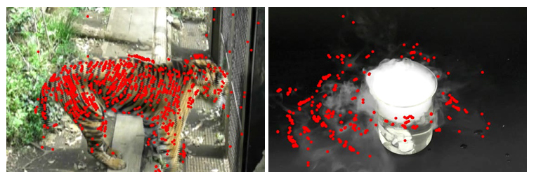 開発したアルゴリズムにより、動画から抽出した対象物の動きの可視化の図