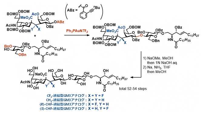 4種の炭素連結型GM3アナログの合成の図