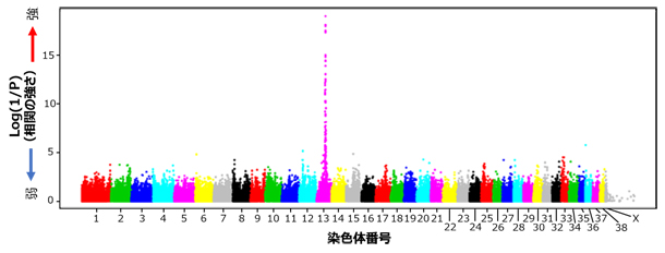 アラニンアミノ基転移酵素(ALT)血中濃度におけるGWASの結果の図