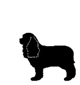 キャバリア・キング・チャールズ・スパニエル ストレスレベル1の犬の画像