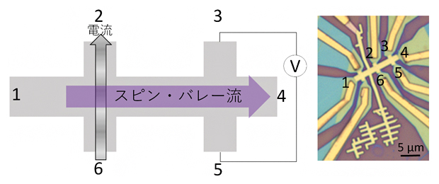 非局所抵抗測定の概念図と本研究で使用したホールバー試料の顕微鏡写真の図