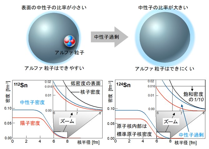 アルファ粒子のできやすさ(上)とスズ同位体における陽子密度と中性子密度の分布の図