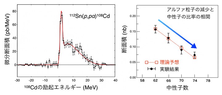 原子核内のアルファ粒子生成を示す実験結果(左)と同位体依存性の実験結果と理論予想の図