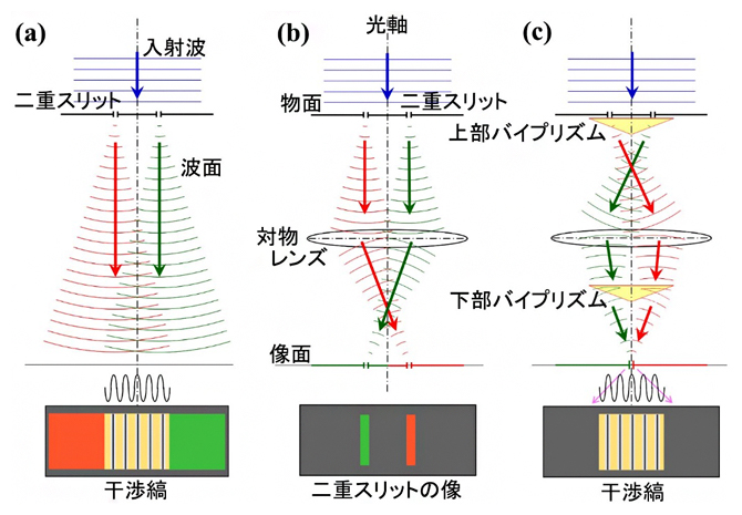 二重スリットを用いた干渉光学系の図