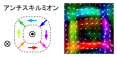 アンチスキルミオンの模式図とローレンツ透過型電子顕微鏡で観察された磁化分布の図