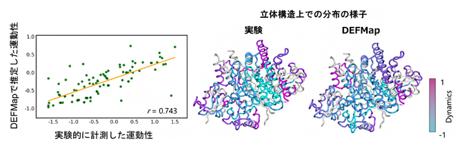 実験で計測した運動性とDEFMapで推定した運動性との比較の図