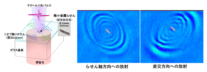 テラヘルツ近接場顕微鏡による計測の概略図と可視化したテラヘルツ光放射の図